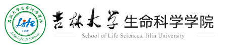 英国上市365官网